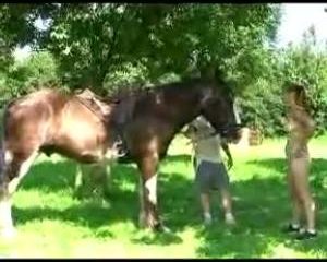 Het valt nog niet mee een paard te temmen