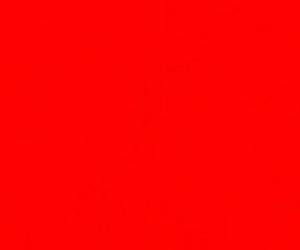 Neger neukt een huisvrouw