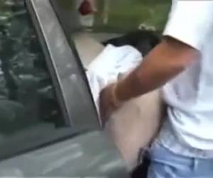 In het bos laat de hoer zich vingeren en pijpt ze de dikke lul