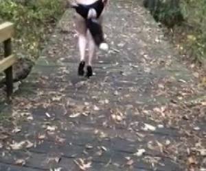 Showen met een sex toy in je kont